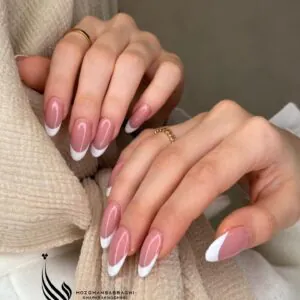 نمونه کار سالن زیبایی شاپرک نقره ای